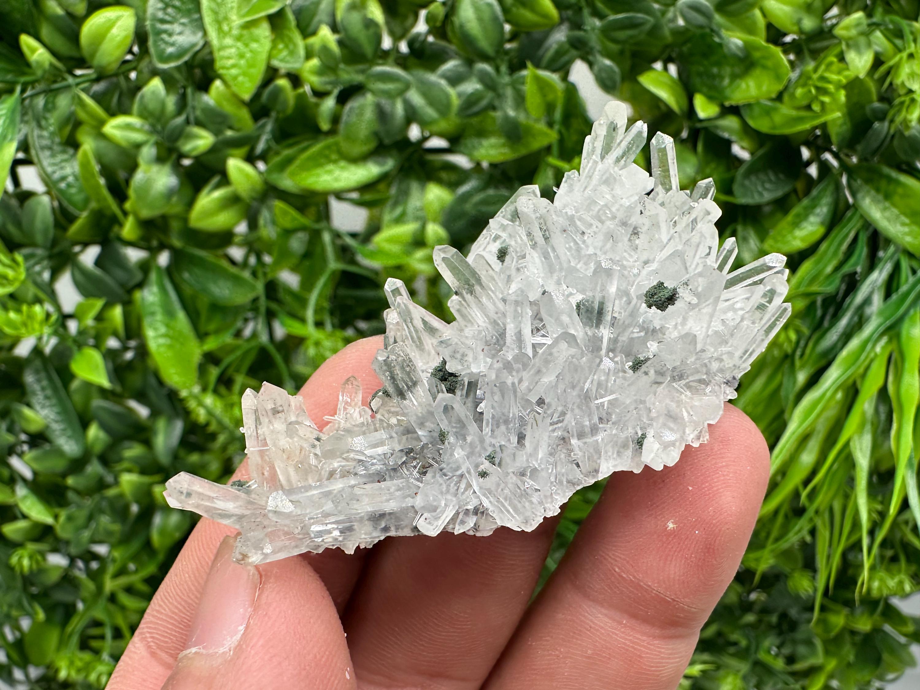 Chlorite Quartz Crystal Cluster - Borieva Mine, Bulgaria