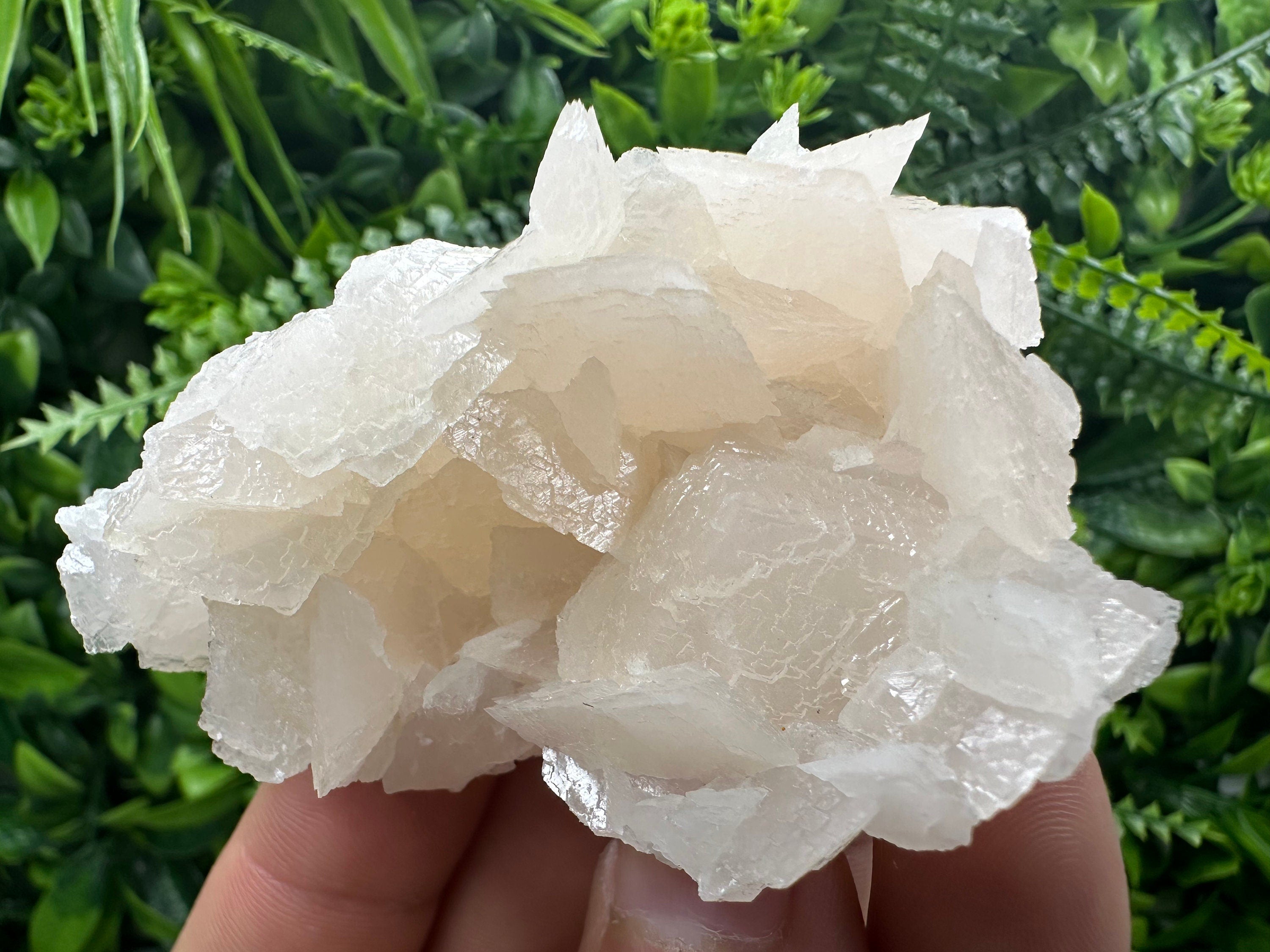 Rare Mangano Calcite Cluster: Borieva Mine, Bulgaria
