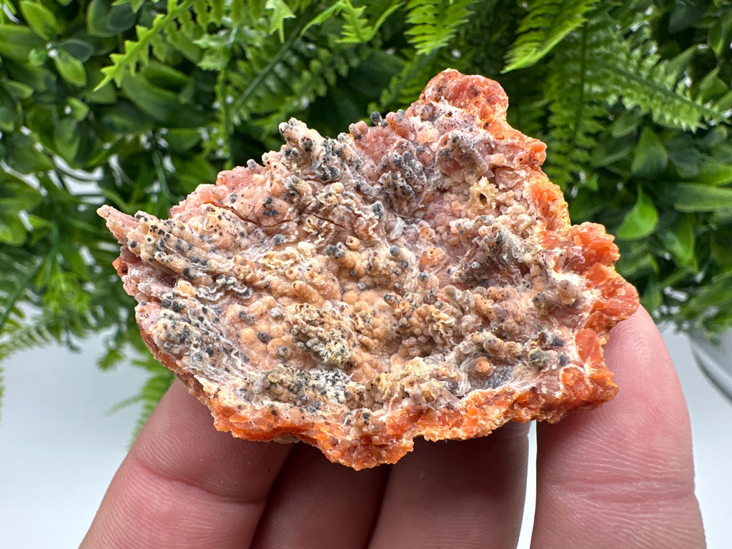 Moroccan Red Chalcedony Crystal Specimen: Rare Mineral Gift