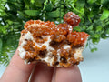 Red Vanadinite on Barite from Marocco,crystal minerals Speciment cluster Vanadinite crystal Vanadinite Geology Vanadinite cluster minerals