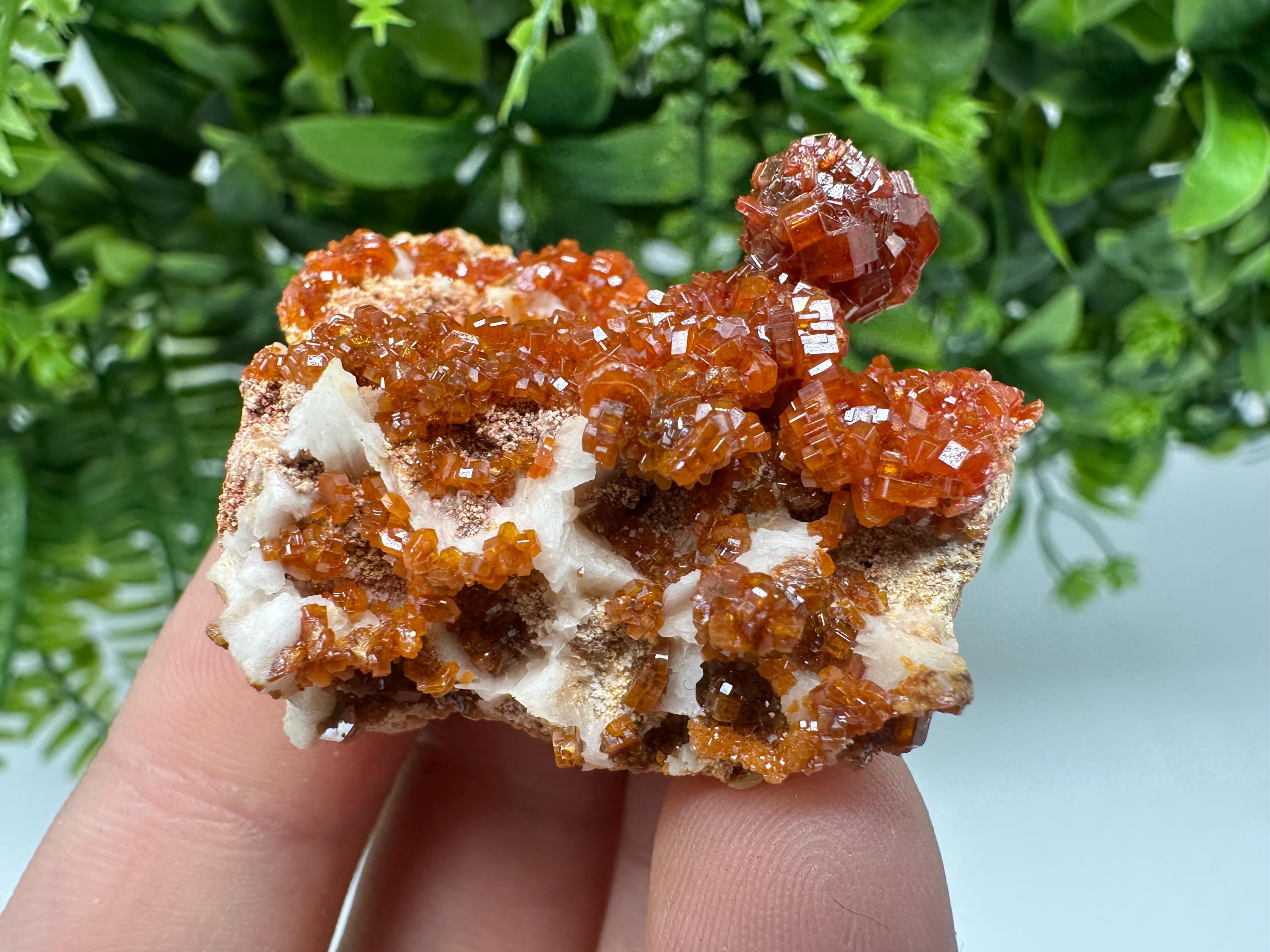 Red Vanadinite on Barite from Marocco,crystal minerals Speciment cluster Vanadinite crystal Vanadinite Geology Vanadinite cluster minerals