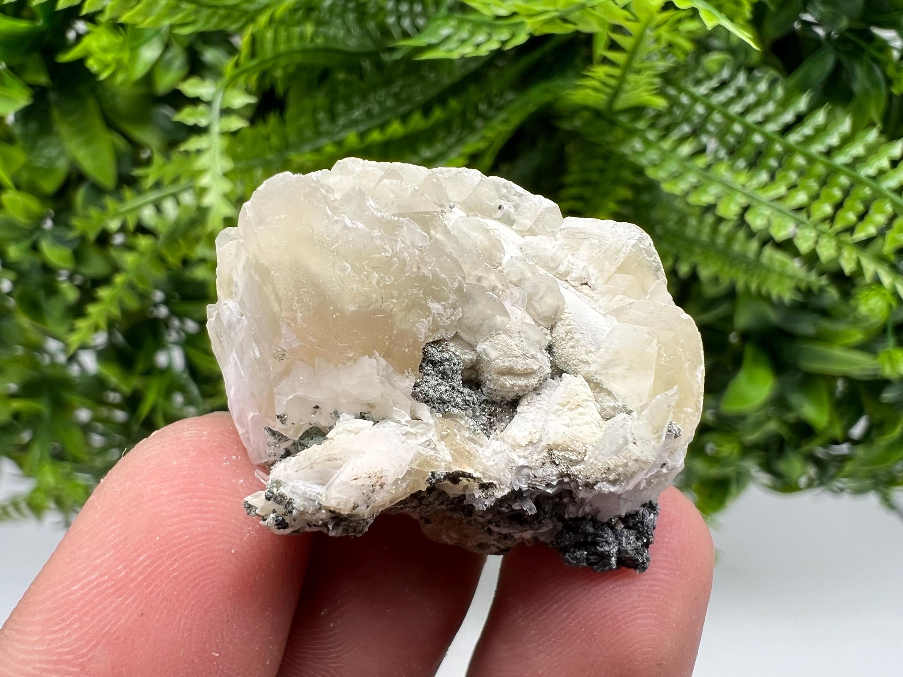 Calcite on Galena Specimen: Borieva Mine, Bulgaria