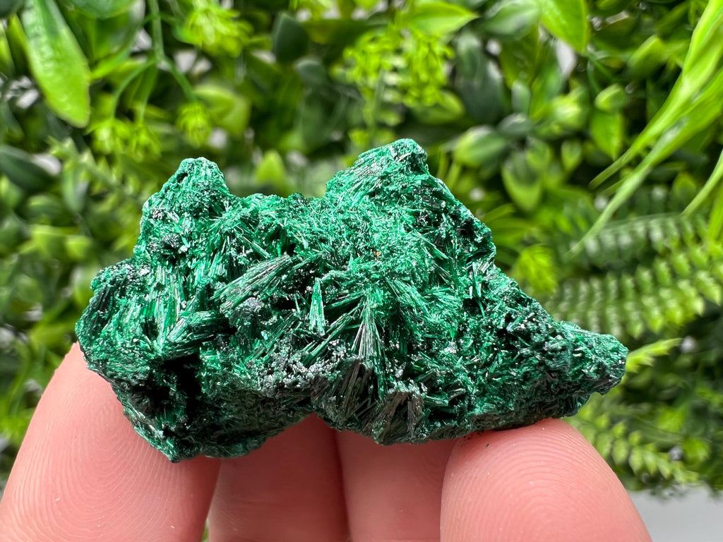 Malachite Crystal from Congo,Minerals,Crystals from Congo,Green Malachite, Malachite,Natural Malachite,Malachite Stone,Chakra, Specimens
