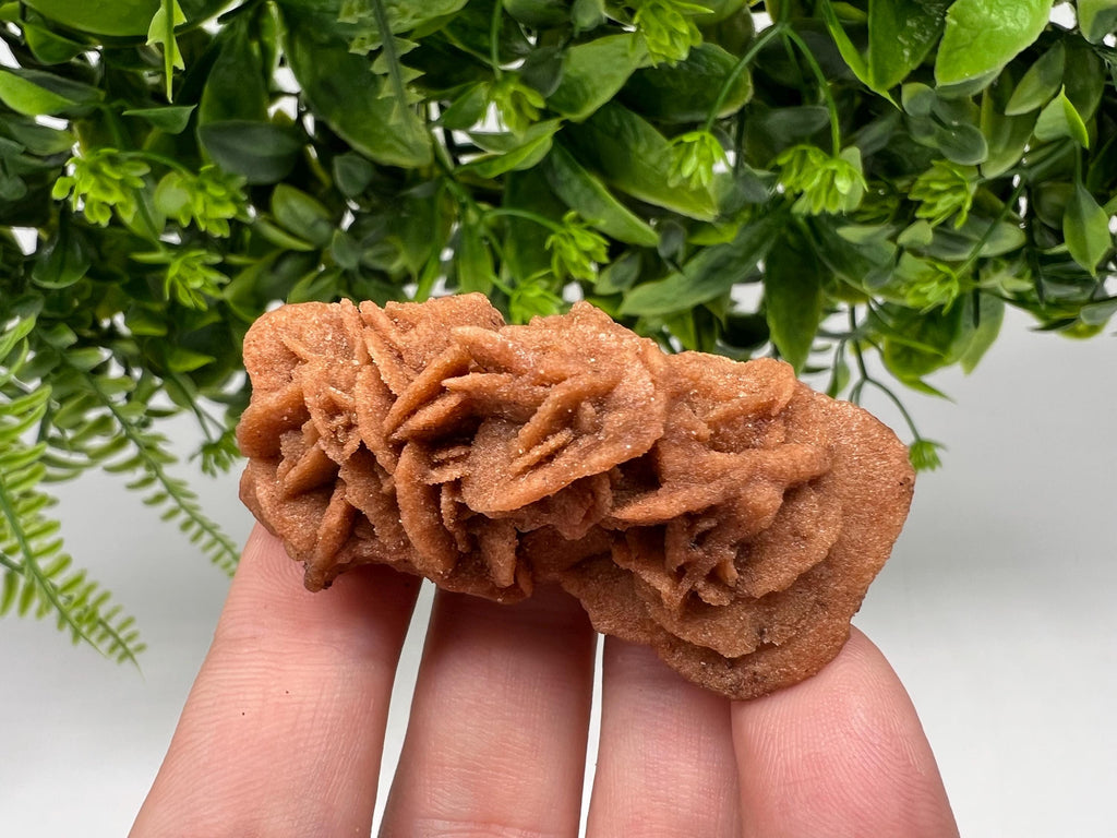 Desert Rose Crystal: Root Chakra Healing Selenite Stone