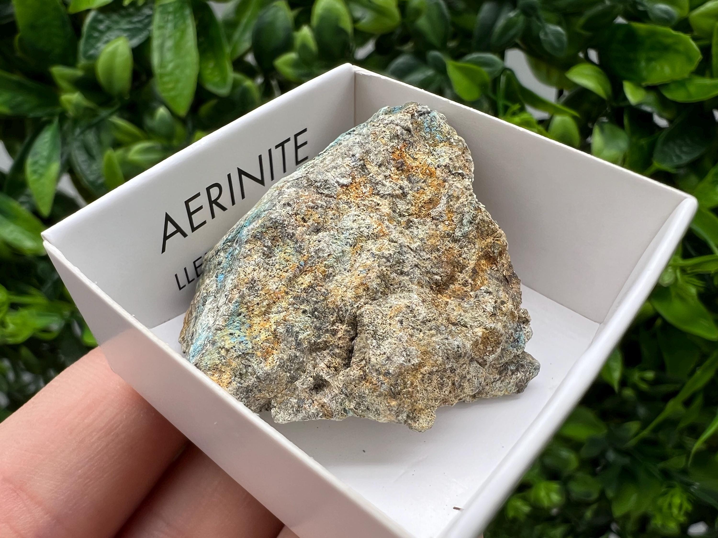 Rare Raw Aerinite Mineral Specimen: Collection Crystal from Lleida, Spain (4/3.5 CM)