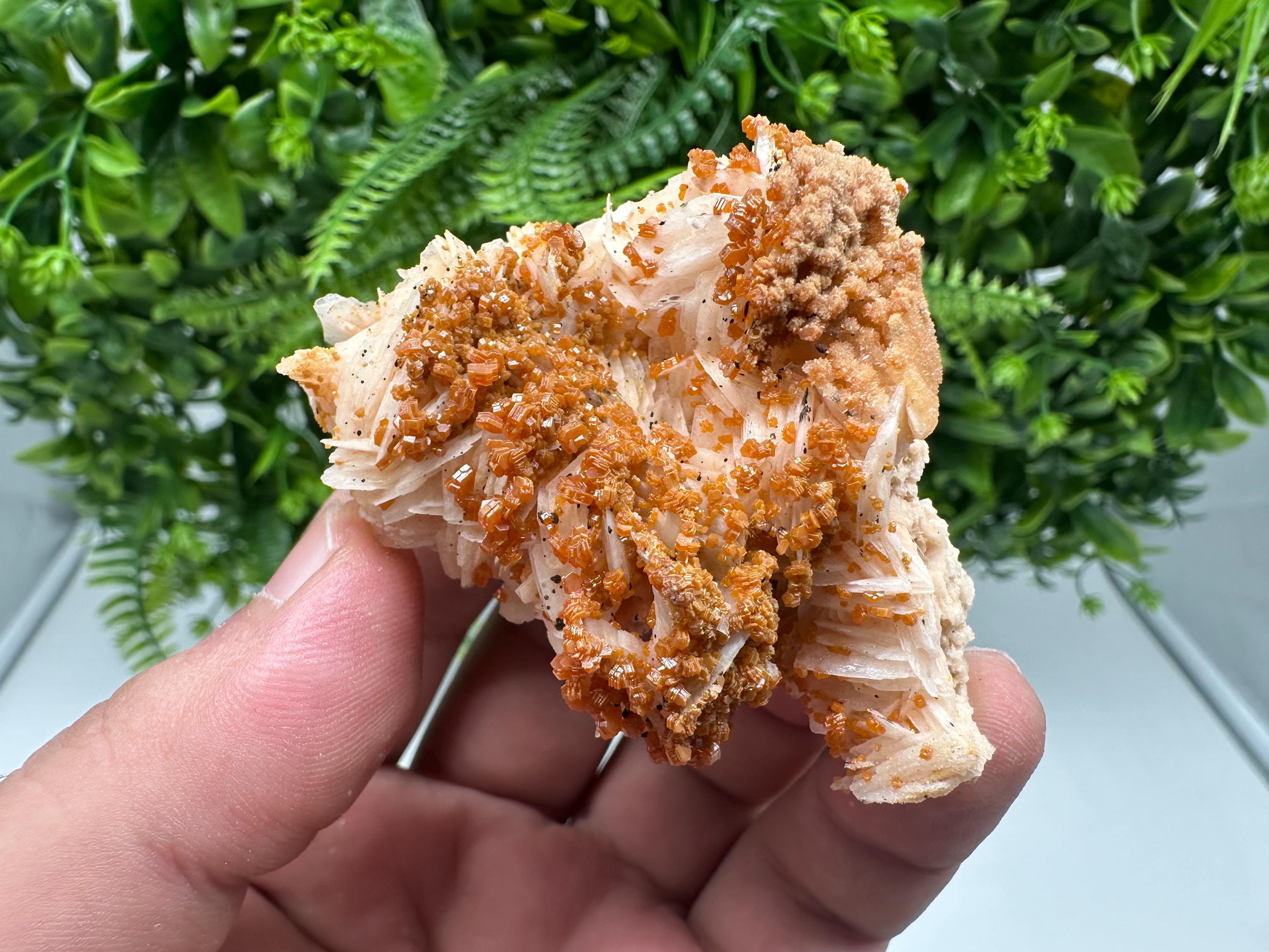 Red Vanadinite on Barite from Marocco,crystal minerals Speciment cluster Vanadinite crystal Vanadinite Geology Vanadinite cluster minerals