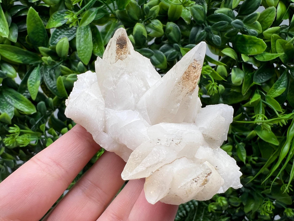 Calcite on Green Quartz: Laki Bulgaria Healing Crystal