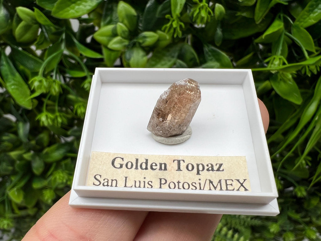 Beautiful Golden Topaz from Mexico,collection piece Crystal,Mineral,collectibles,Collectors, Natural Crystal, Minerals from Mexico,original,