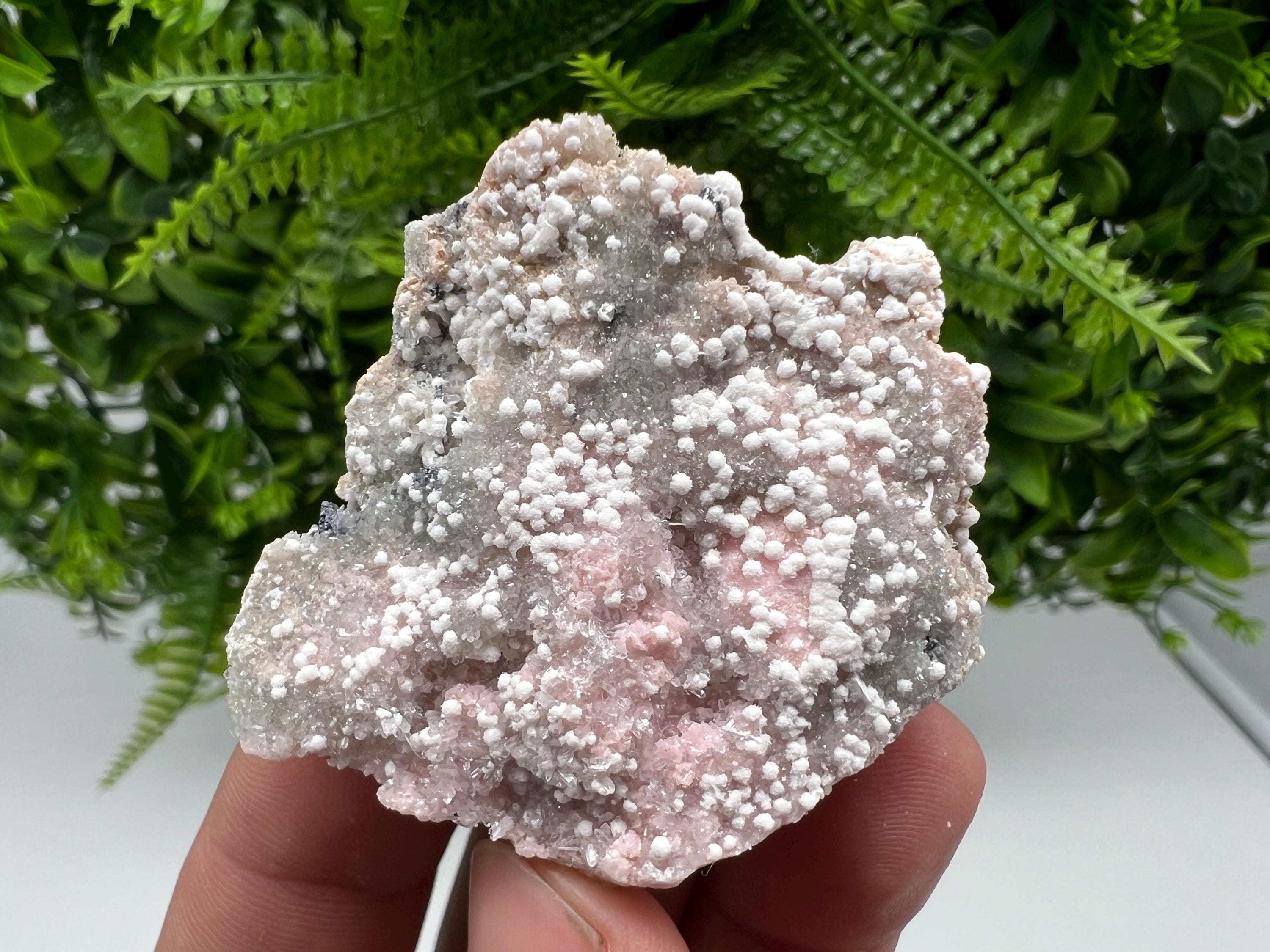 RARE Rhodochrosite with White Calcite, Starnica Mine, Bulgaria
