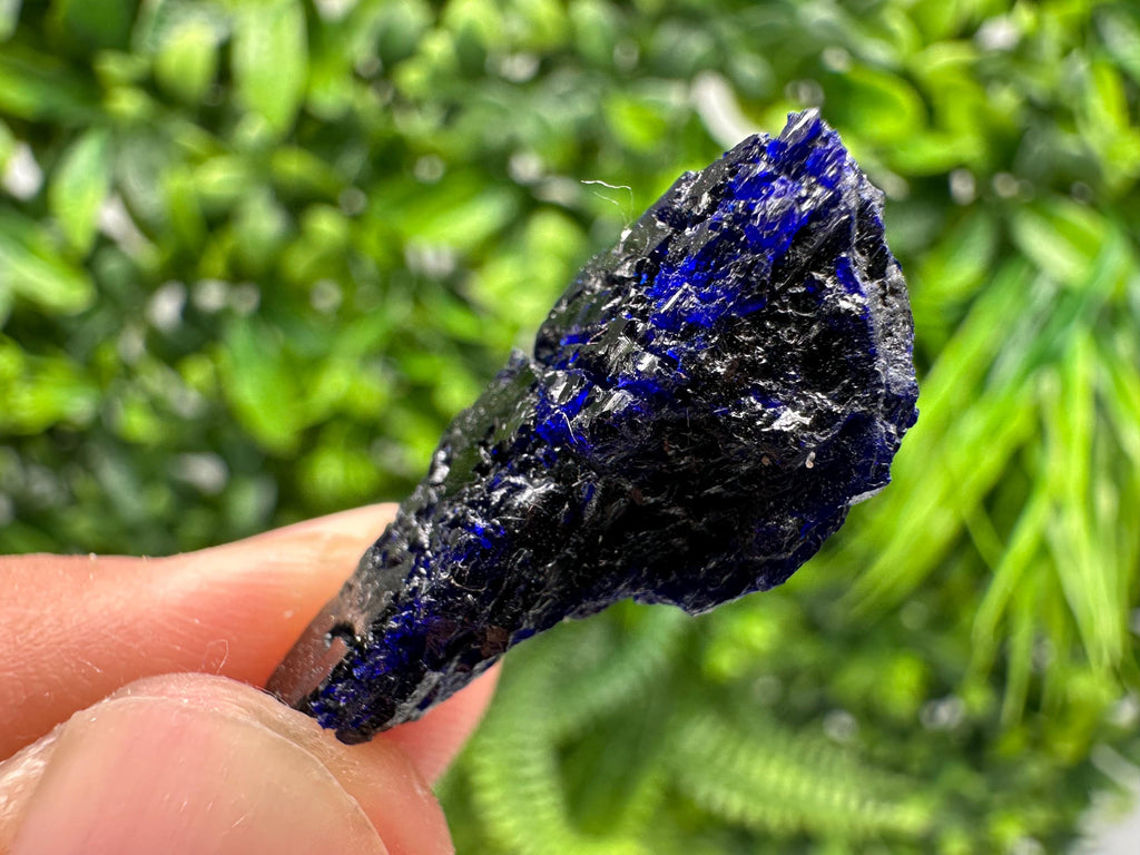 Crystallized Azurite-Kerrouchen,Morocco-Blue Azurite Specimen-High Quality Blue Azurite-Azurite Mineral Specimen, gemmy,lustrous of Azurite