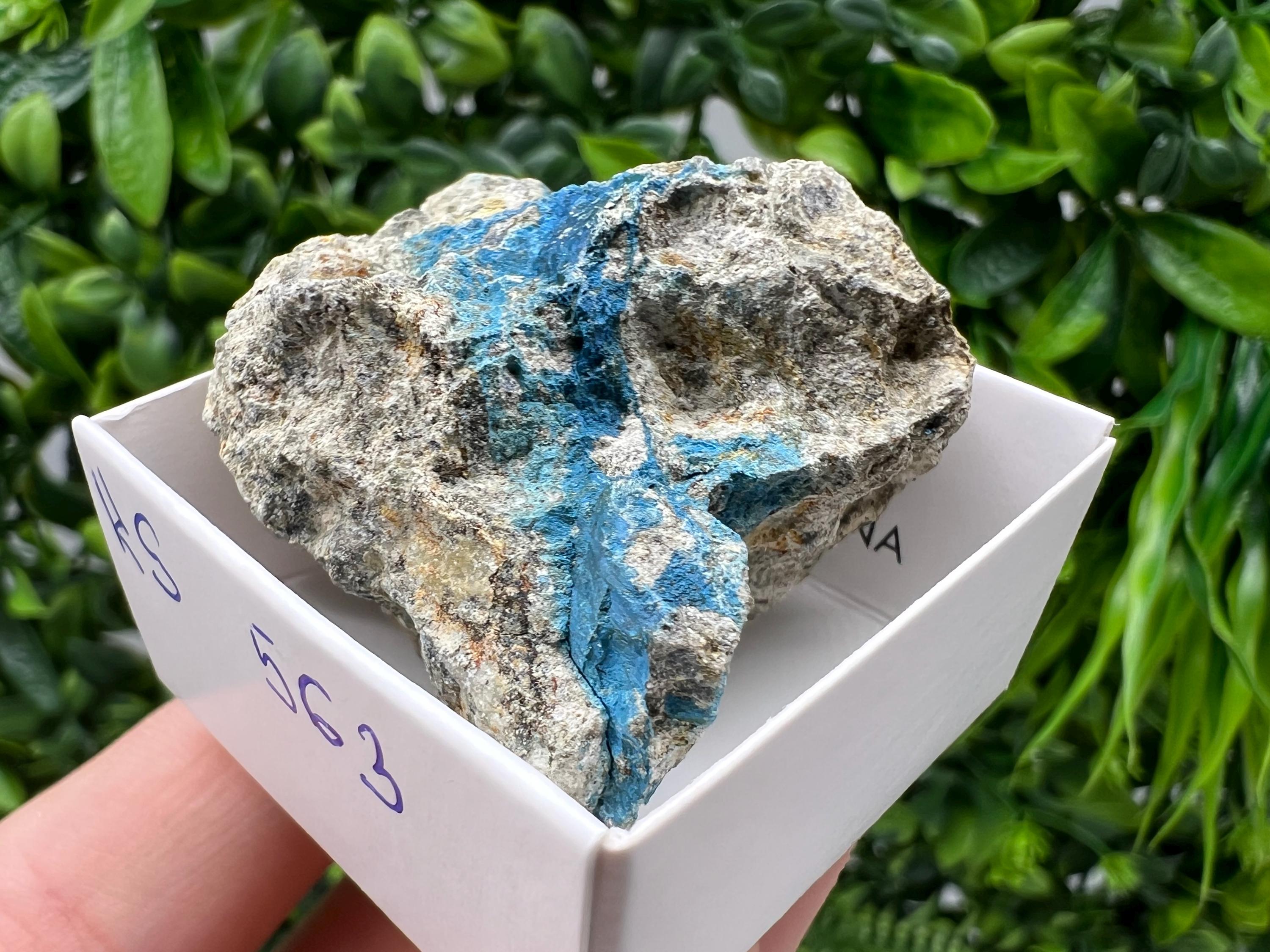 Rare Raw Aerinite Mineral Specimen: Collection Crystal from Lleida, Spain (4/3.5 CM)
