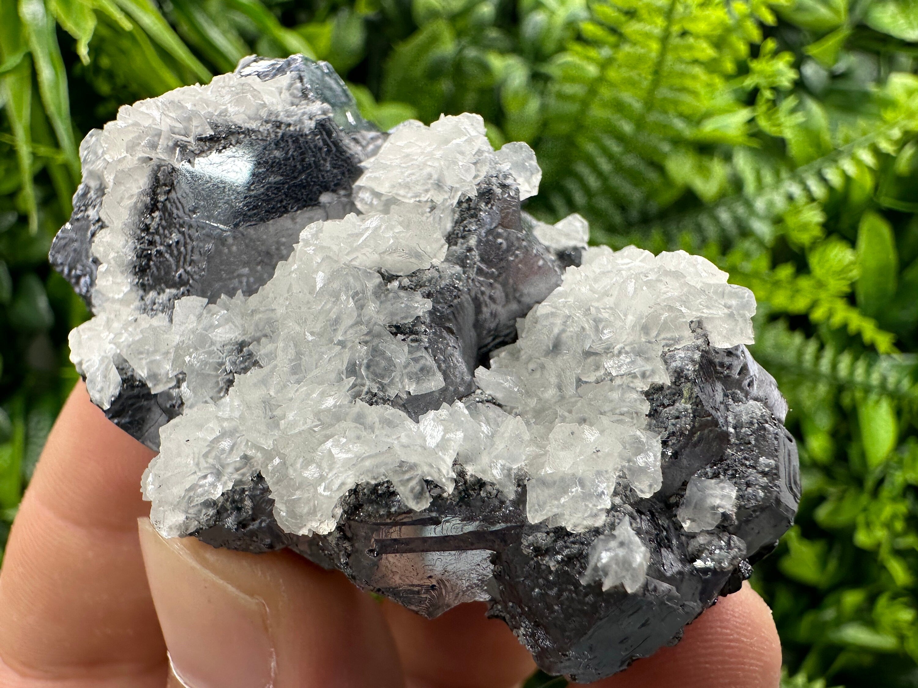 Galena with Calcite Cluster, Batantci Mine Mineral Specimen