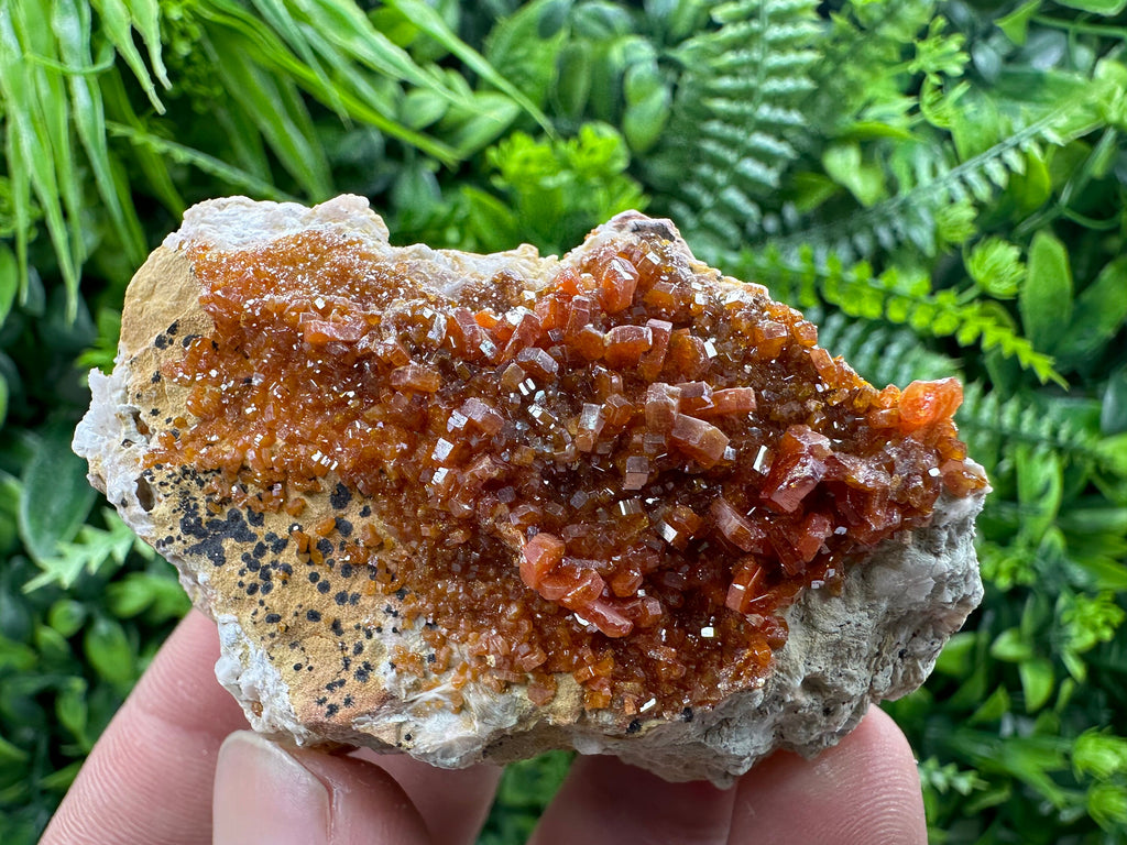 Red Vanadinite Crystal Cluster on Matrix, Morocco Mineral Specimen