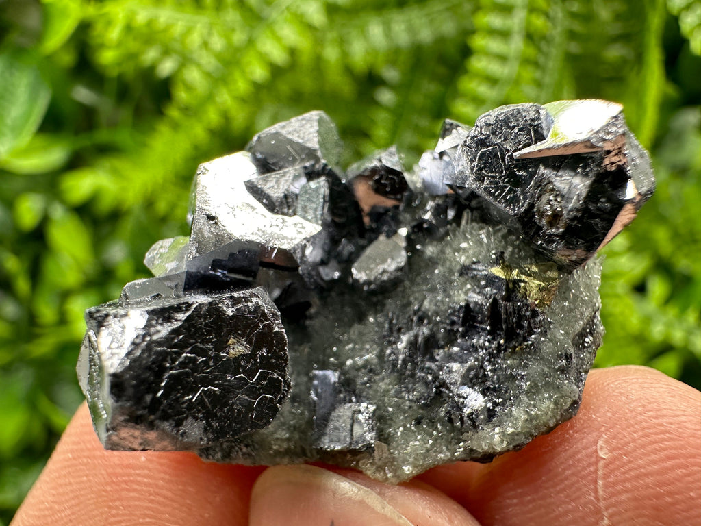 Galena Chalcopyrite on Quartz: Crystal Mineral Specimen, Borieva Mine