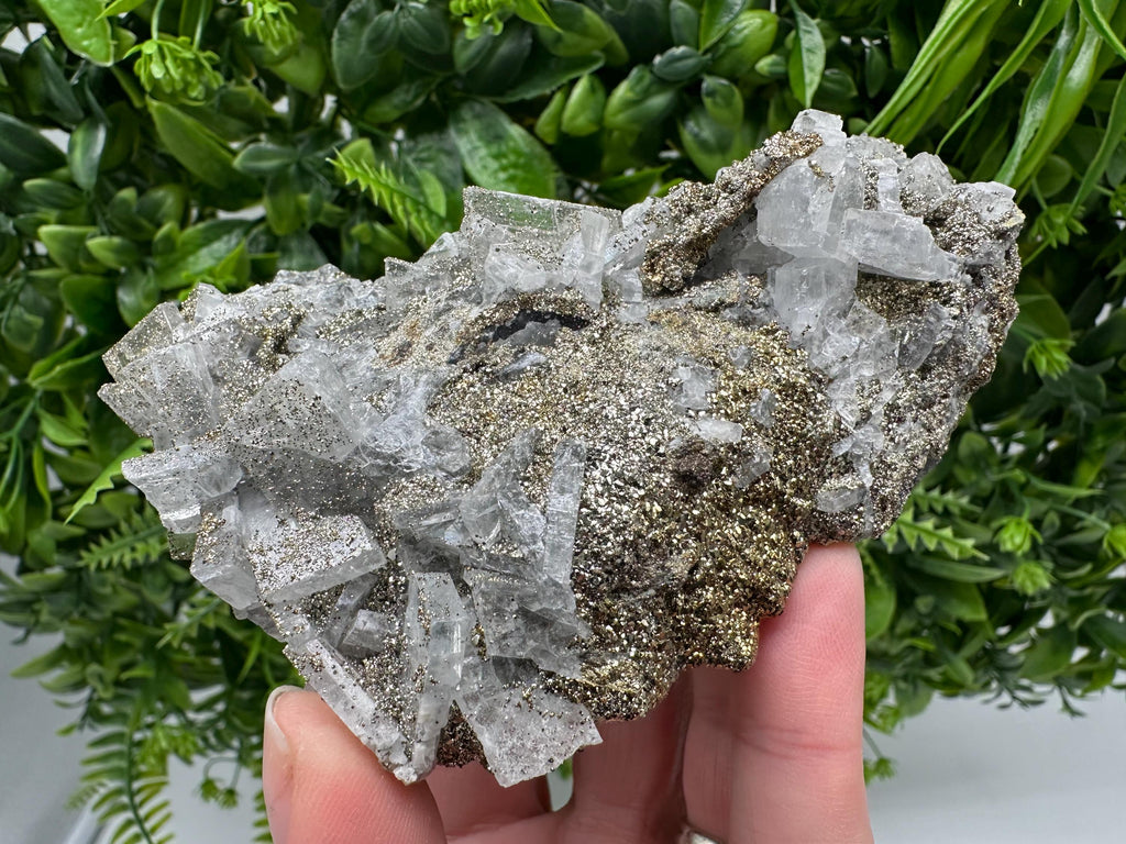 Marcasite Cluster,Barite on Chalcedony, Bulgaria Mineral Specimen