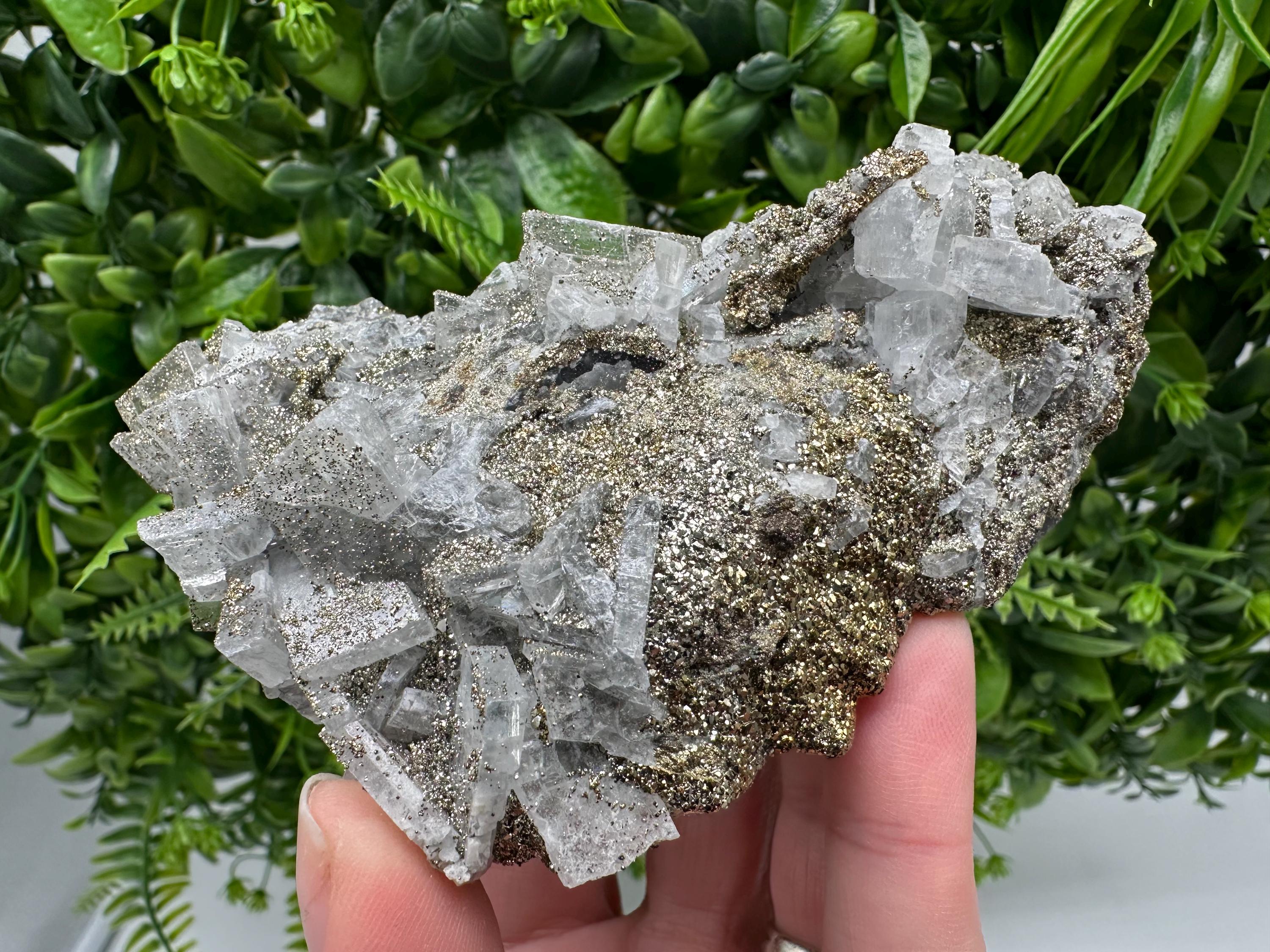 Marcasite Cluster,Barite on Chalcedony, Bulgaria Mineral Specimen
