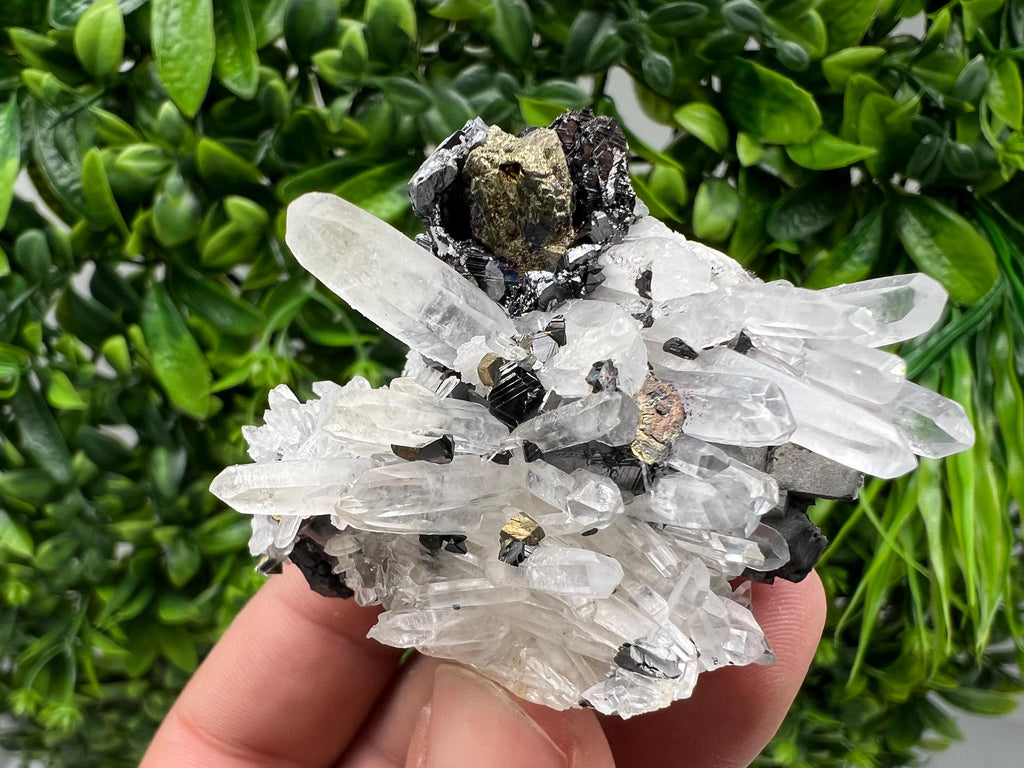 Wonderful Sphalerite Chalcopyrite on Green Quartz whit Hematite feom 9 th September mine,Bulgaria,natural,collection mineral specimen,gift