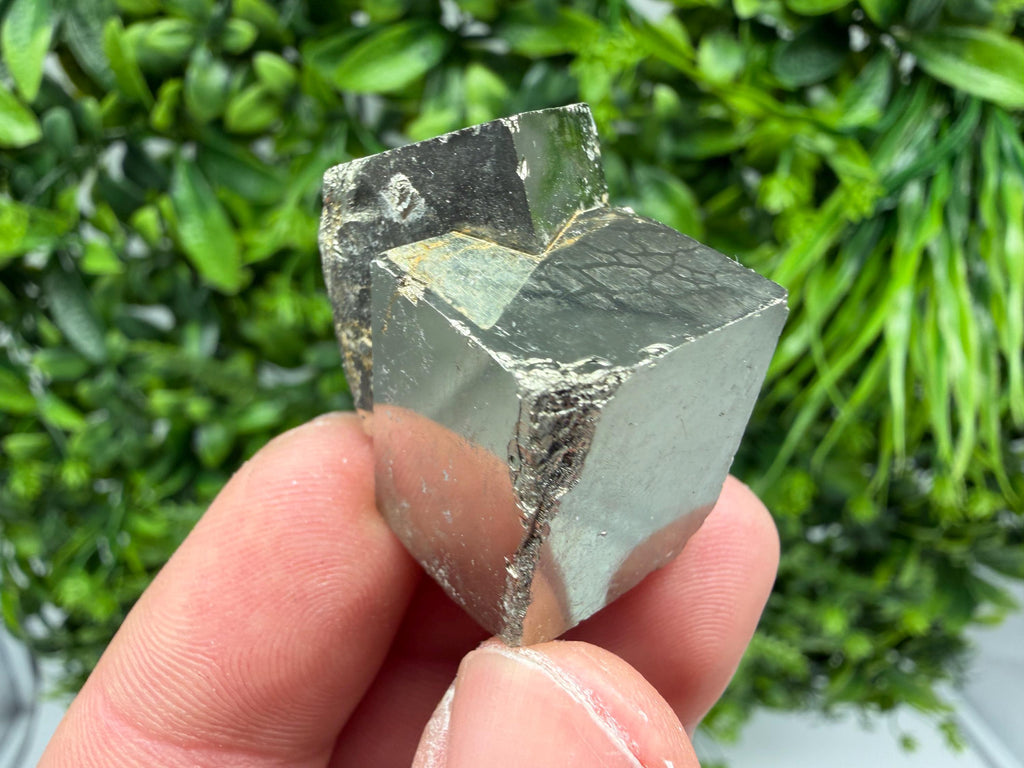 Interjoined,Pyrite,Gold,Cube PYRITE, Navajun, La Rioja, SPAIN,natural Pyrite shiny Pyrite home decor stone gift minerals,collectibls