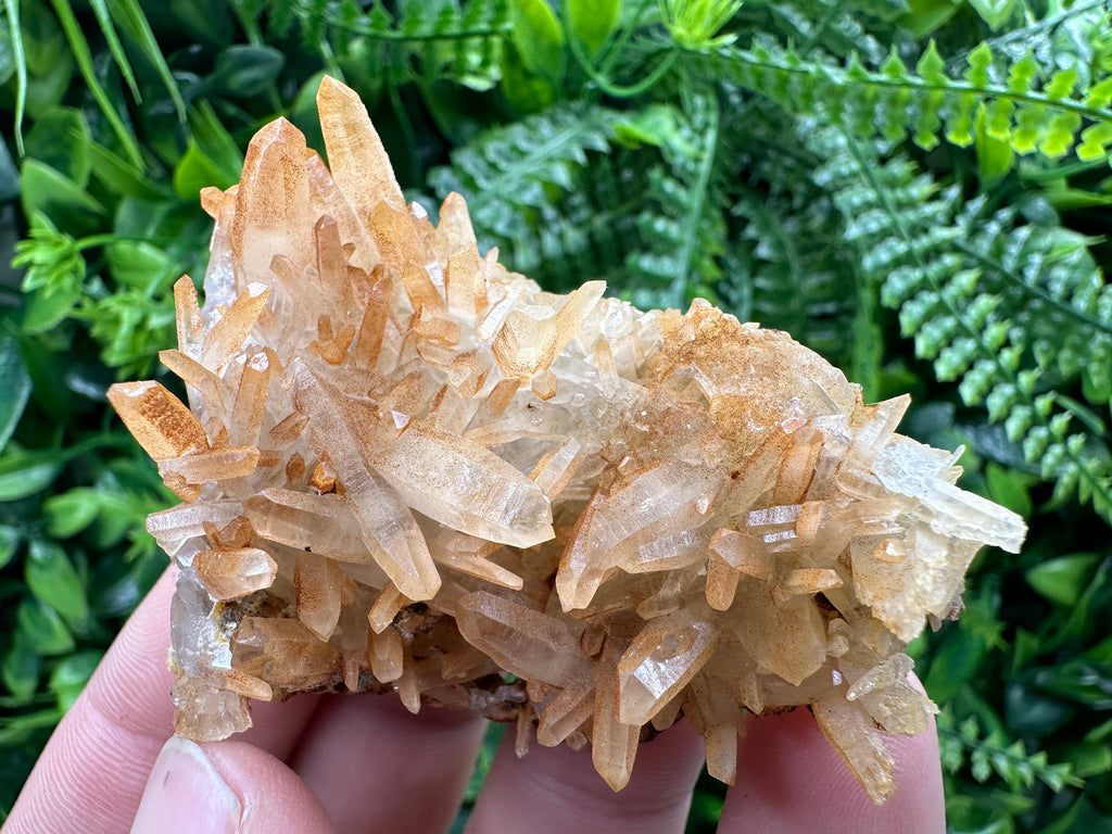 Transparent Quartz Cluster: Natural Mineral Souvenir, Bulgaria