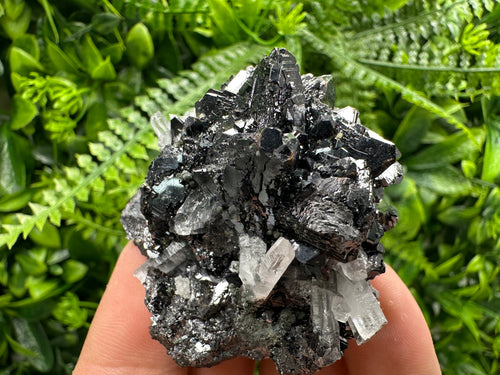 Boryev Sphalerite on Quartz: Rare Mineral Cluster