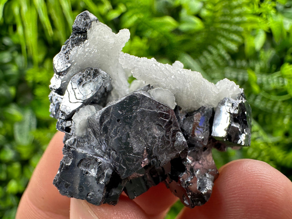 Rare Calcite on Galena: Borieva Mine, Bulgaria
