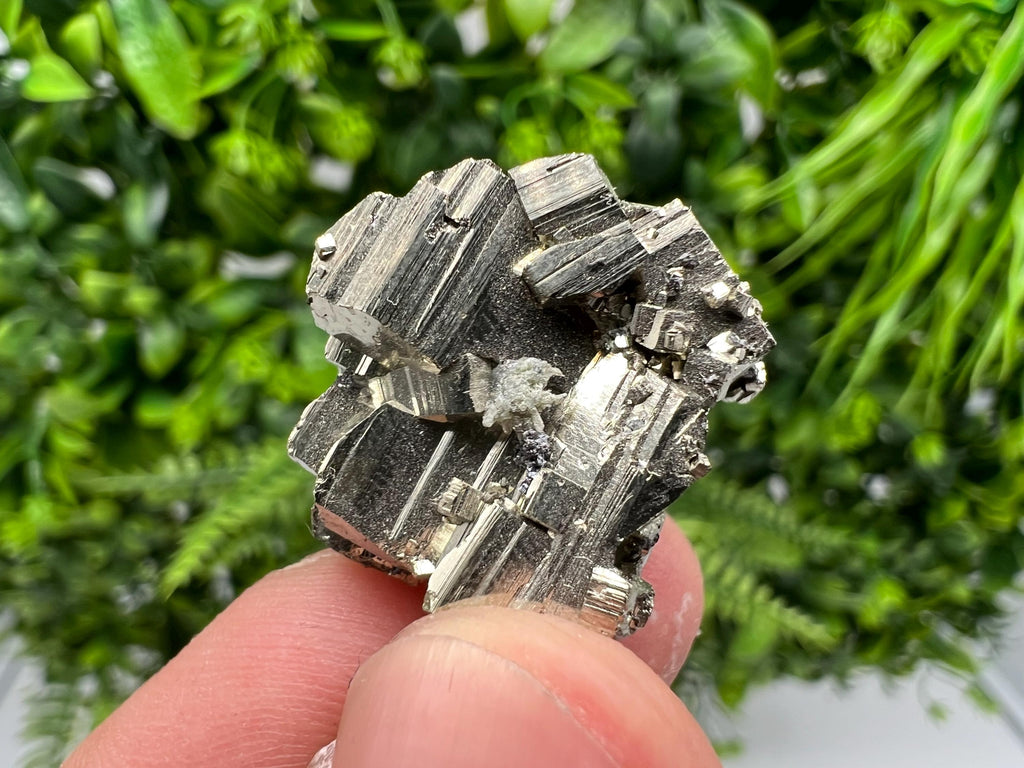 Rainbow Pyrite Cluster: Borieva Mine, Bulgaria - Mini Collection