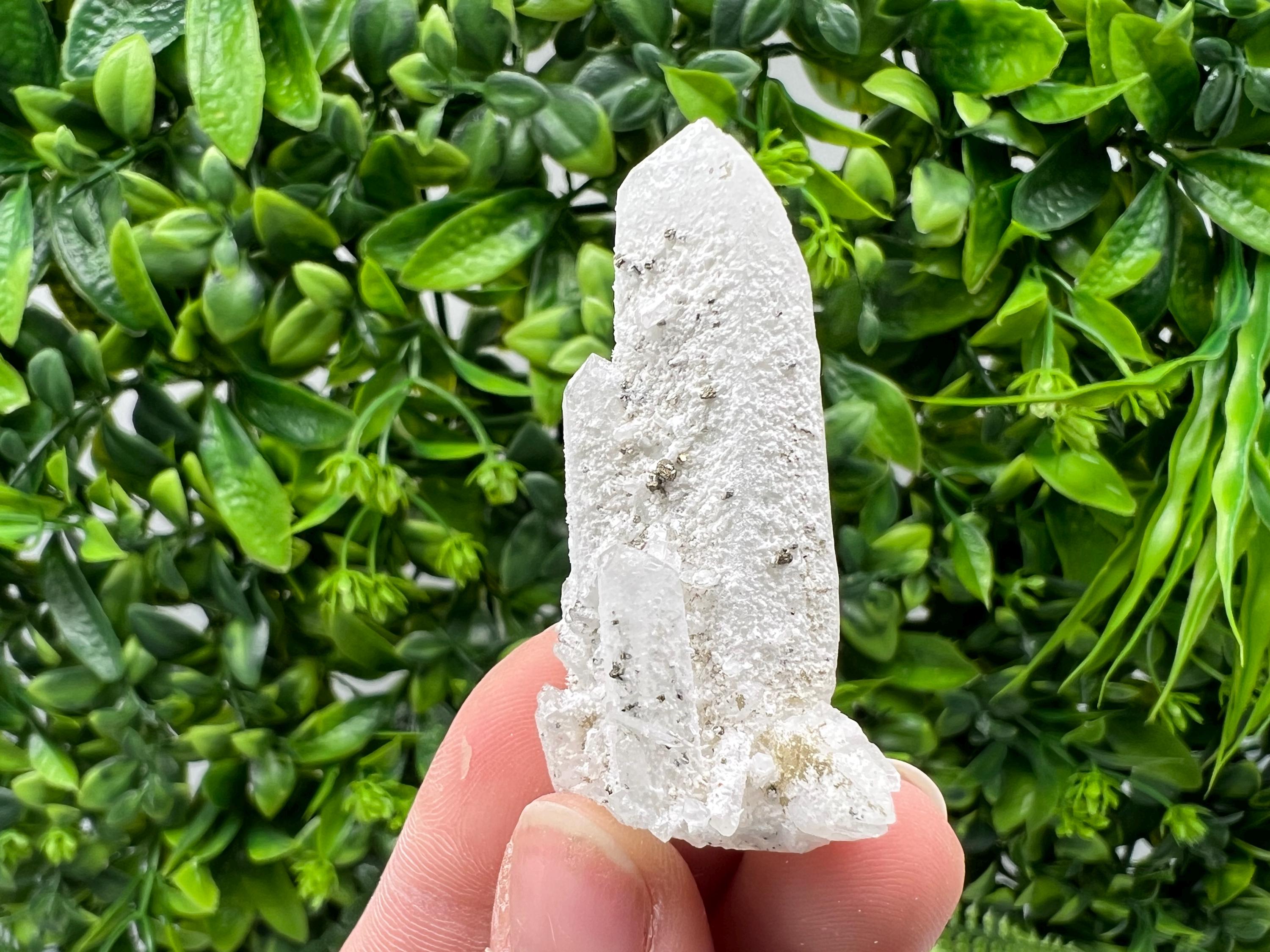 Quartz with Pyrite Crystal: Krushev Dol Mine, Bulgaria