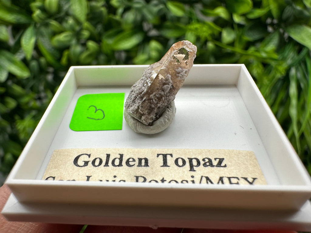 Golden Topaz Crystal, Mineral Specimen from Mexico