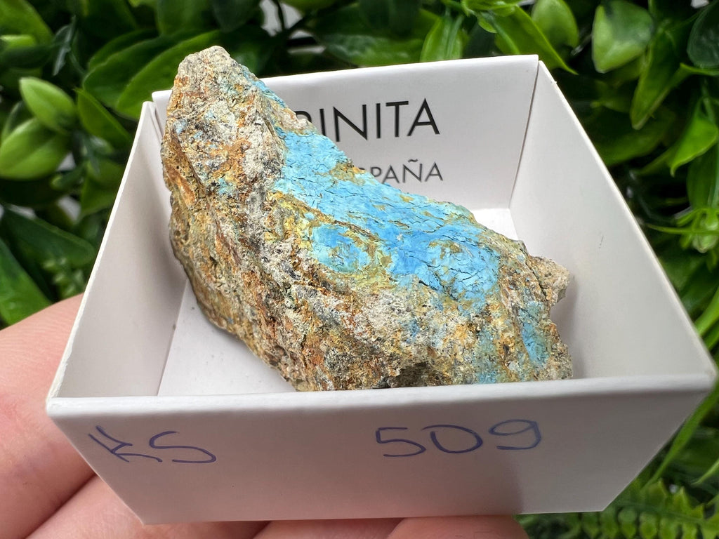 Rare Raw Aerinite Mineral Specimen: Lleida, Spain Crystal Collection