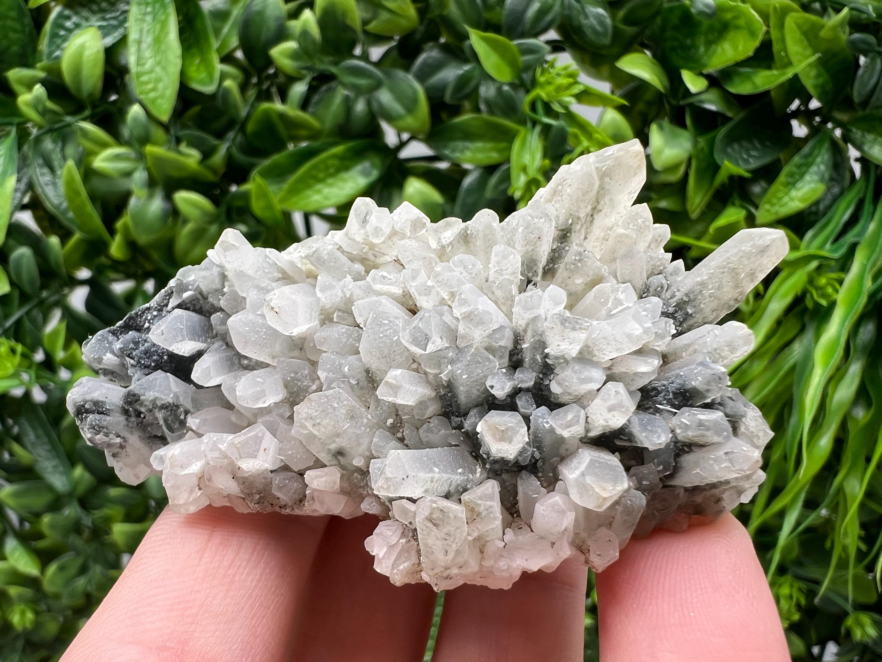 Stunning Transparent Quartz,from Borieva mine,natural collection mineral specimen rare crystal,home decor crystal,quartz cluster,Quartz,gift