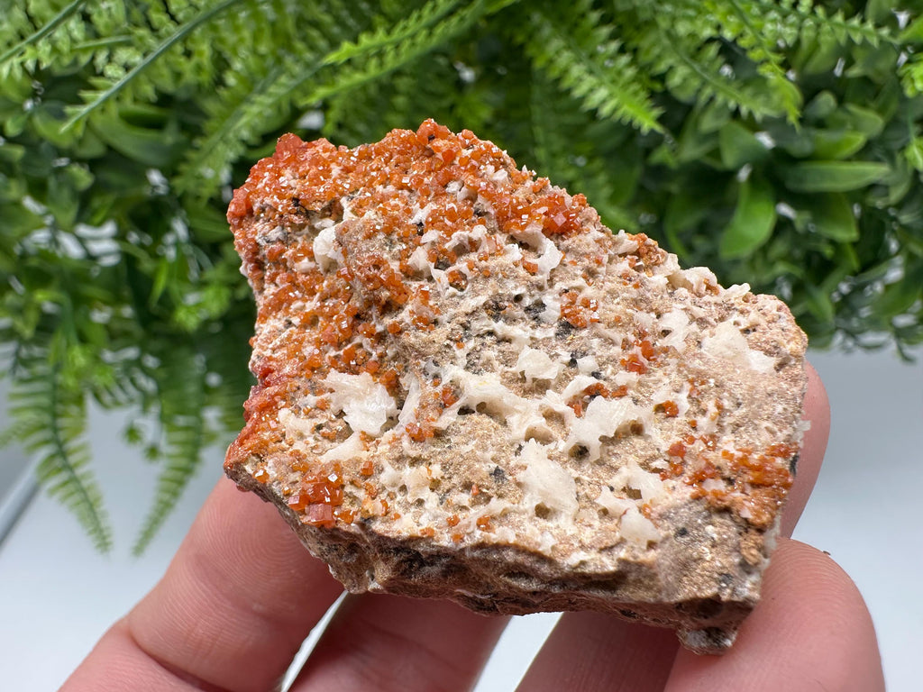 Red Vanadinite on Matrix from Marocco,crystal minerals Speciment cluster Vanadinite crystal Vanadinite Geology Vanadinite cluster minerals