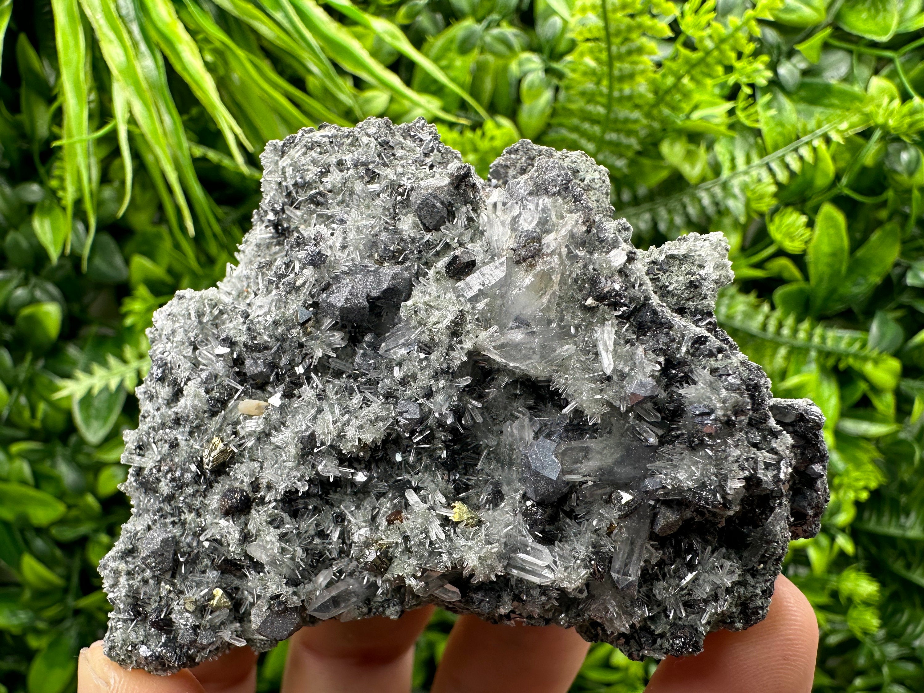 Chalcopyrite Galena on Quartz with Chlorite, Bulgaria Mineral Specimen