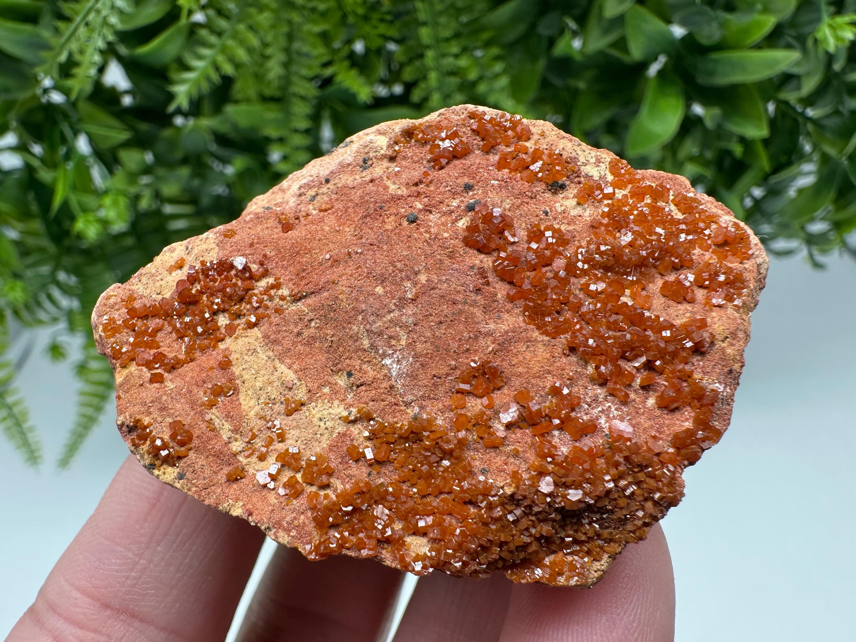 Red Vanadinite on Matrix from Marocco,crystal minerals Speciment cluster Vanadinite crystal Vanadinite Geology Vanadinite cluster minerals