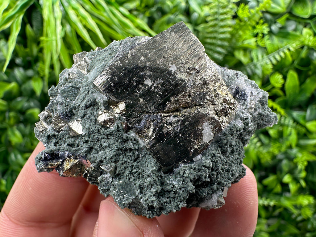 Pyrite with Chlorite: Natural Mineral Souvenir from Bulgaria