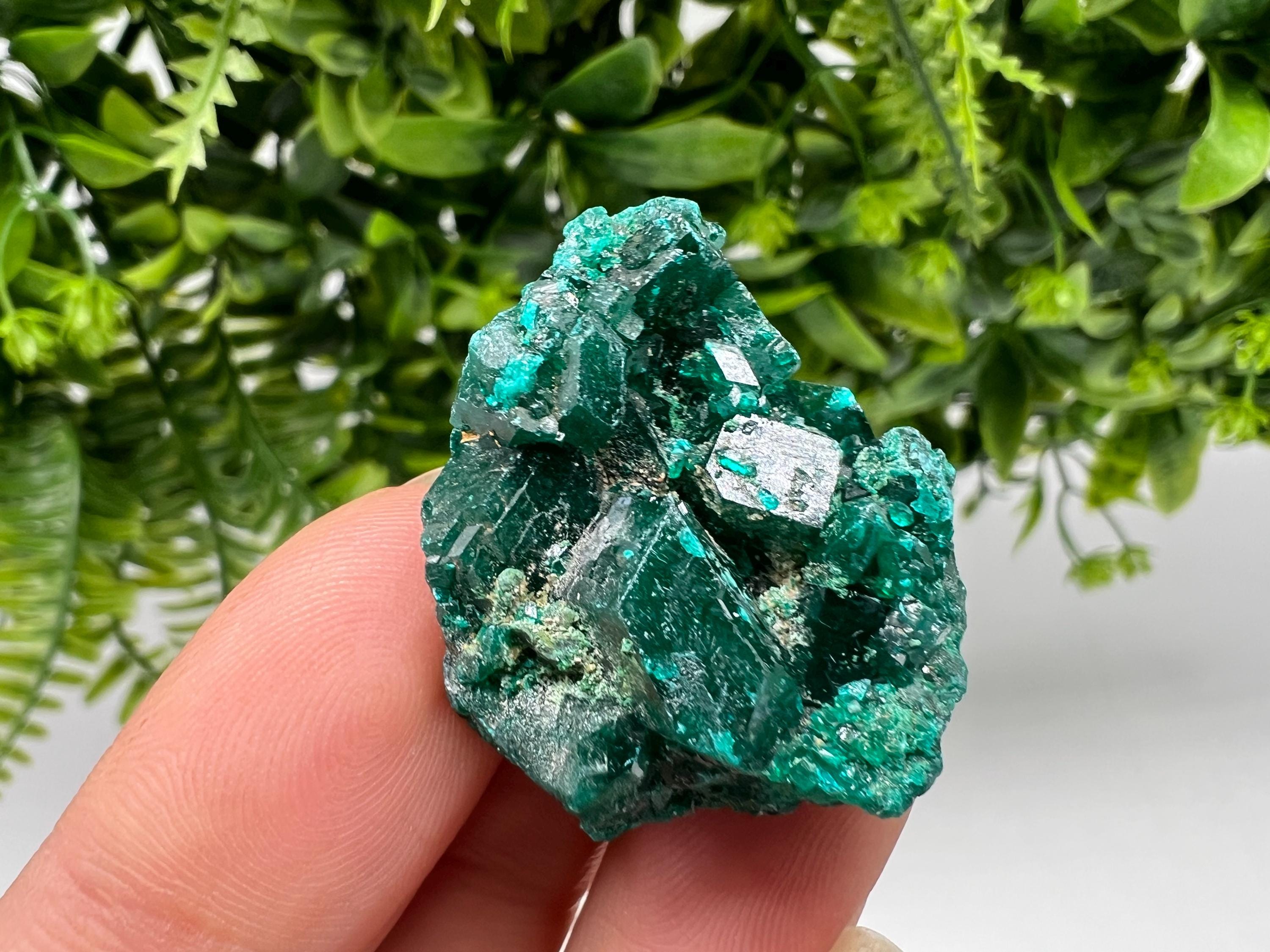 Stunning Green Dioptase from Sanda Hills,Mindouli,Pool Department,Mindouli District,Congo,green Dioptase,Dioptas Crystal,Dioptase collecting