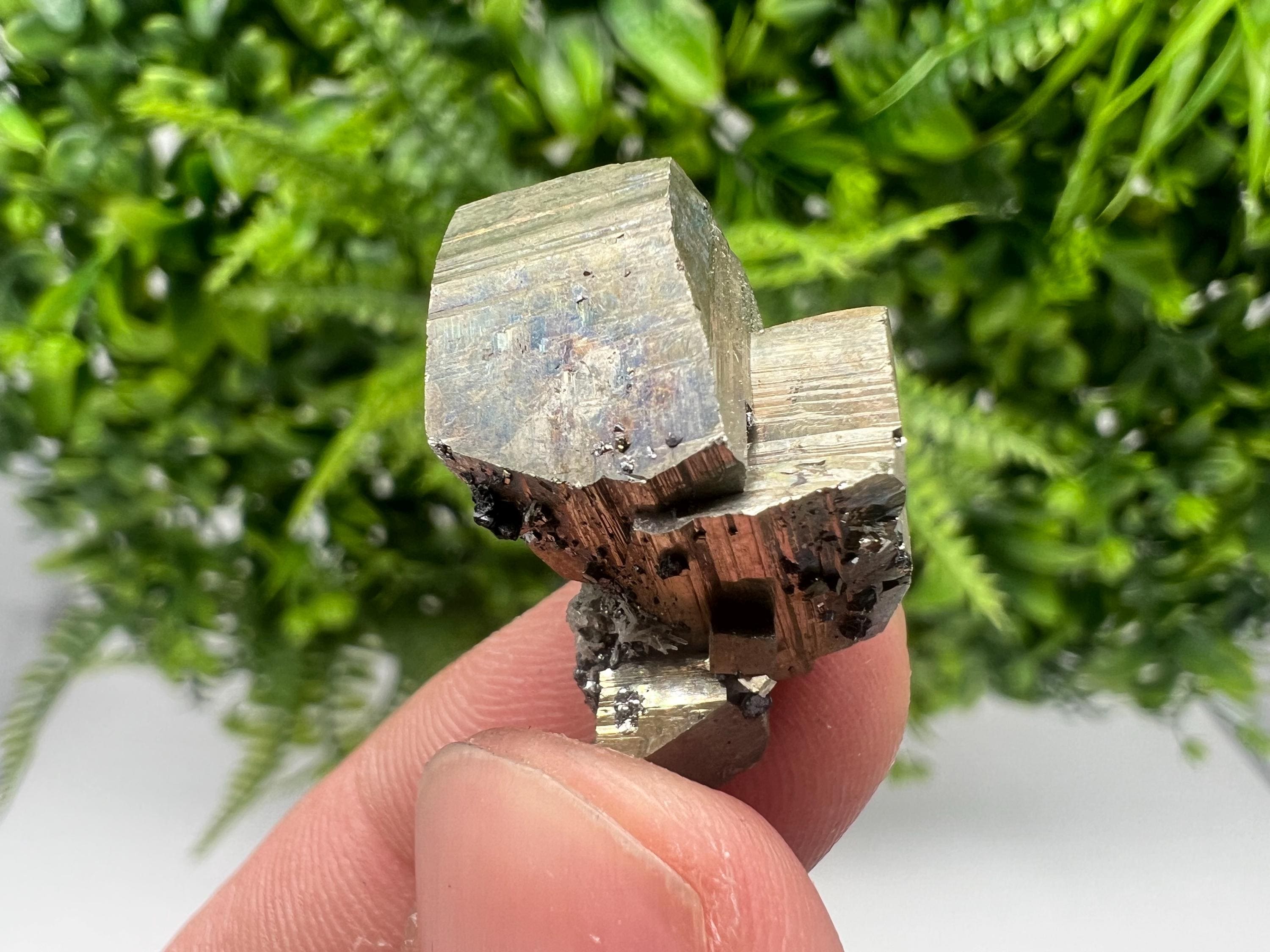Rare Crystallized Pyrite Specimen, Borieva Mine, Bulgaria