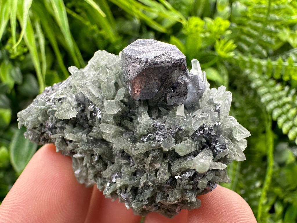 Galena on Green Quartz, Borieva Mine Mineral Specimen