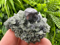 Galena on Green Quartz, Borieva Mine Mineral Specimen