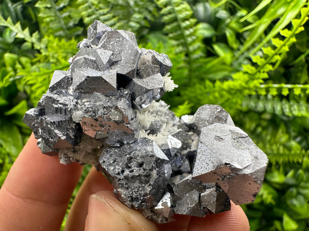 Shiny Galena on Quartz, Borieva Mine, Bulgaria