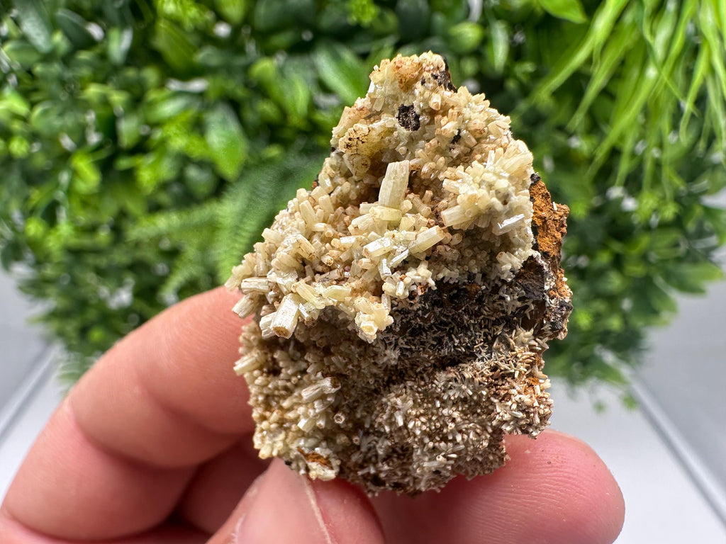 Rare Green Pyromorphite with Hematite on Quartz - Madjarovo Mine