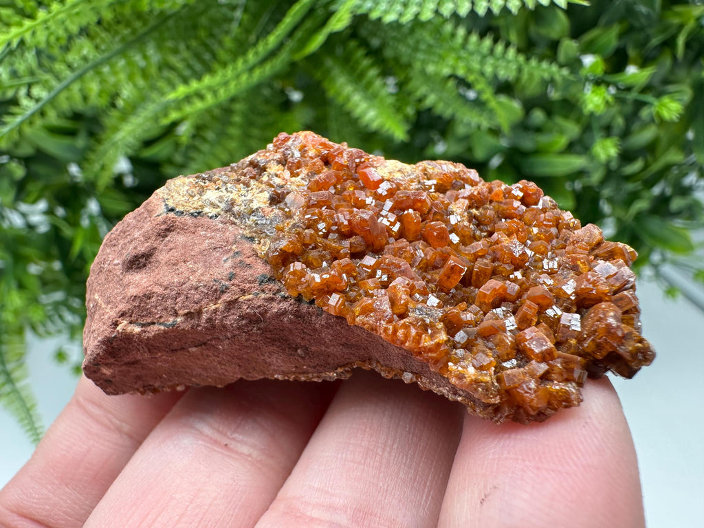 Red Vanadinite on Matrix from Marocco,crystal minerals Speciment cluster Vanadinite crystal Vanadinite Geology Vanadinite cluster minerals