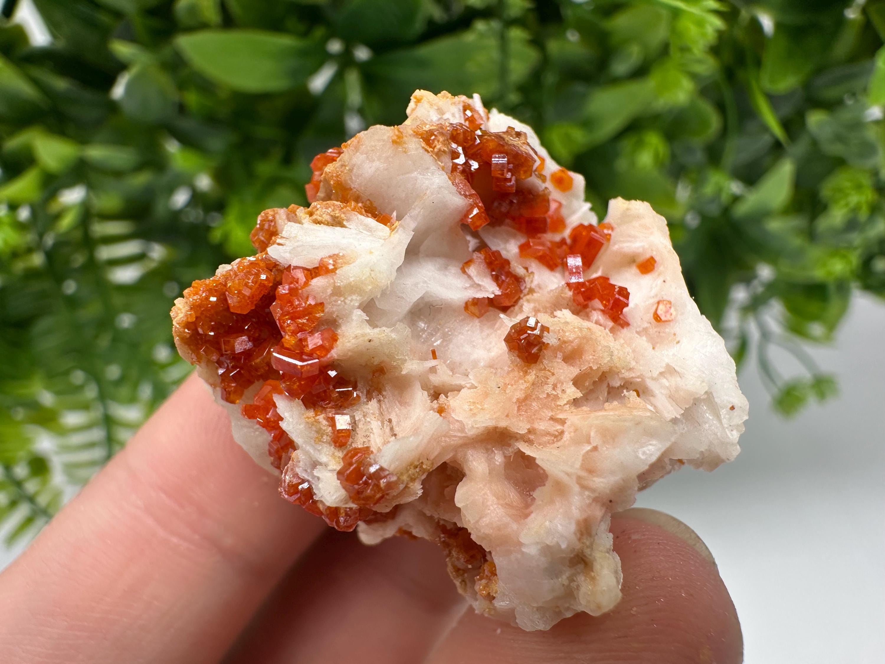Red Vanadinite on Barite from Marocco,crystal minerals Speciment cluster Vanadinite crystal Vanadinite Geology Vanadinite cluster minerals