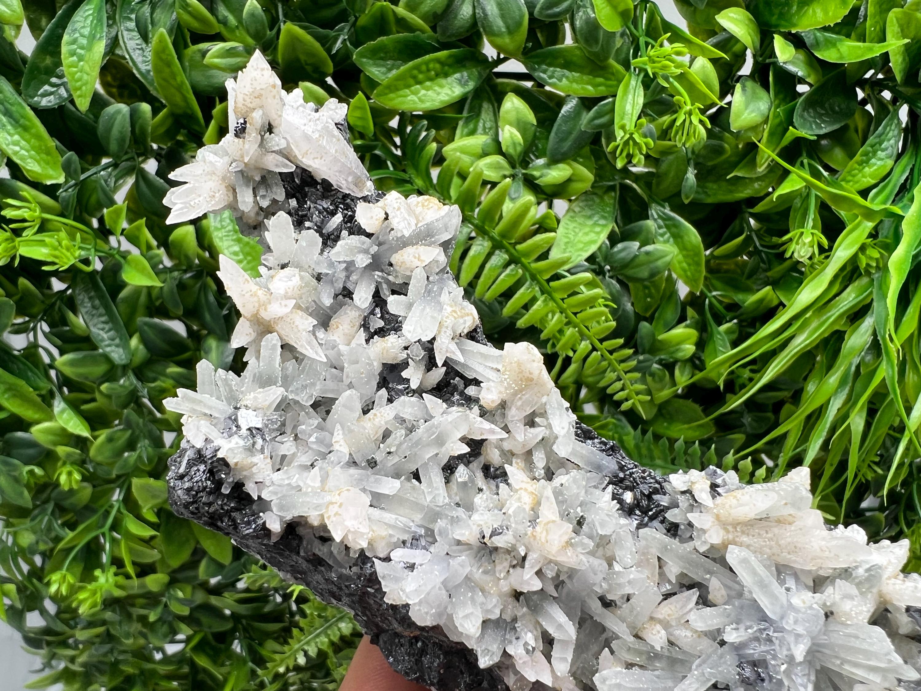 Calcite on Green Quartz: Djurcovo Mine, Bulgaria Healing Crystal