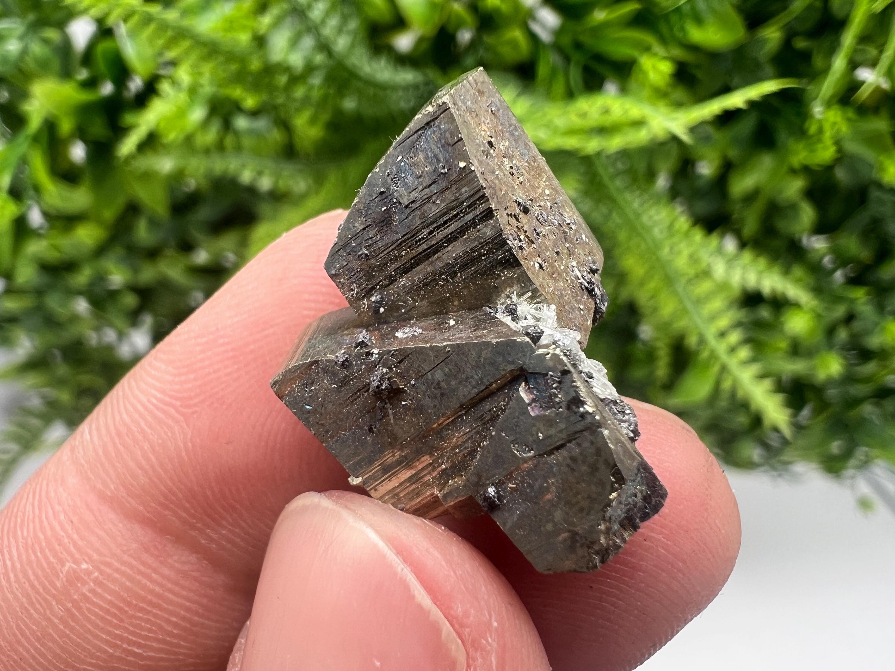 Rare Crystallized Pyrite Specimen, Borieva Mine, Bulgaria