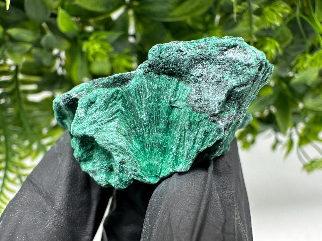 Malachite Crystal from Congo,Minerals,Crystals from Congo,Green Malachite, Malachite,Natural Malachite,Malachite Stone,Chakra, Specimens