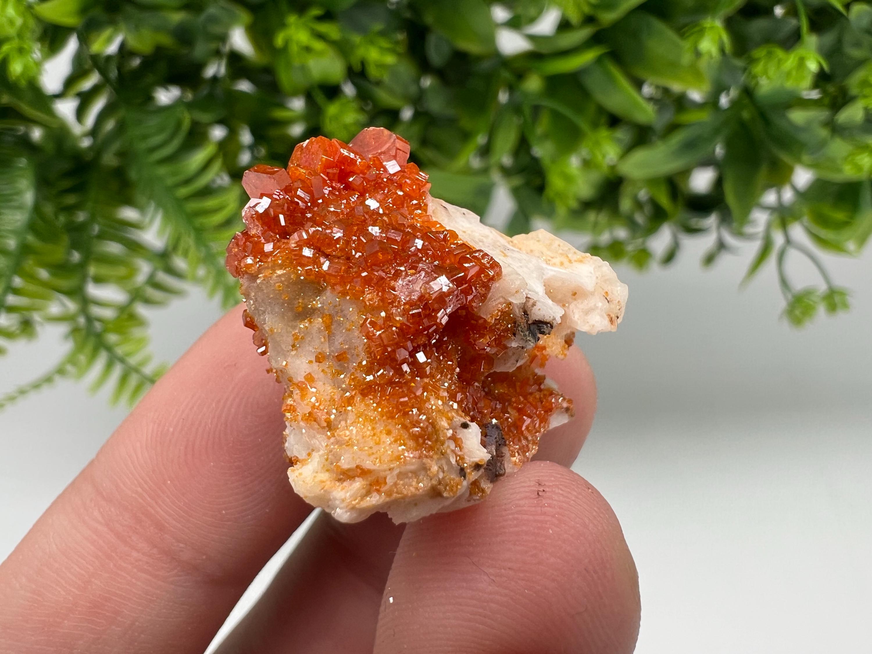 Red Vanadinite on Barite from Marocco,crystal minerals Speciment cluster Vanadinite crystal Vanadinite Geology Vanadinite cluster minerals
