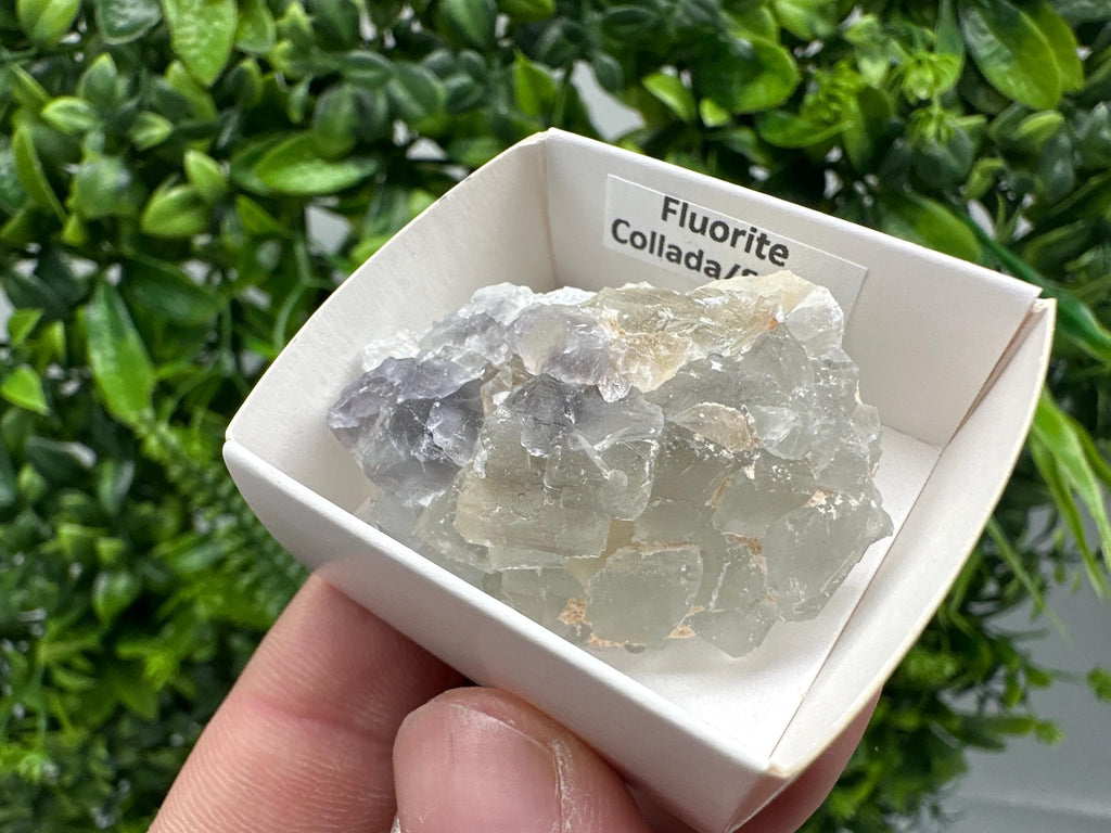 Green Raw Fluorite Cluster: Vintage Meditation Stone (4.5/3.5)