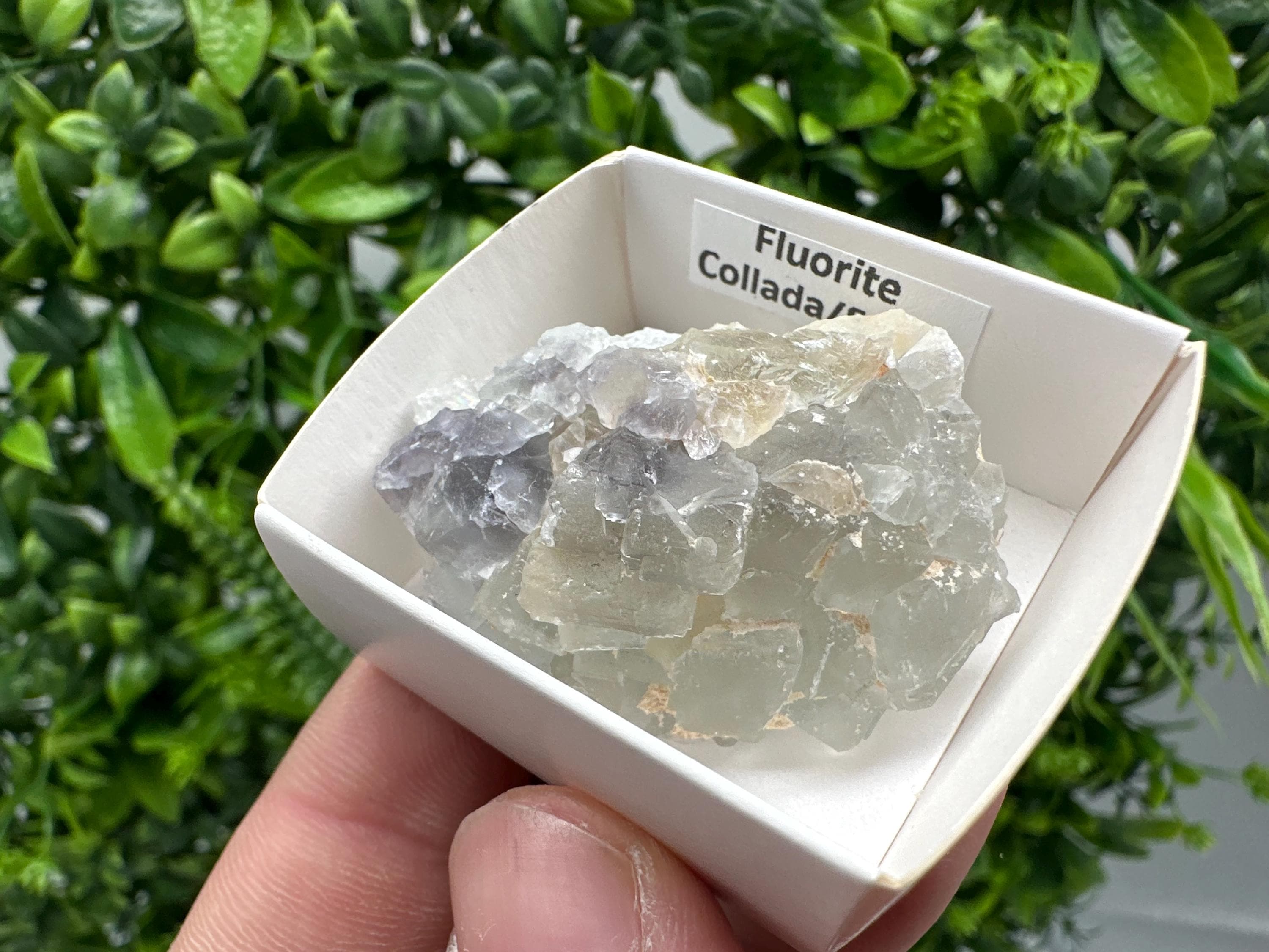 Green Raw Fluorite Cluster: Vintage Meditation Stone (4.5/3.5)