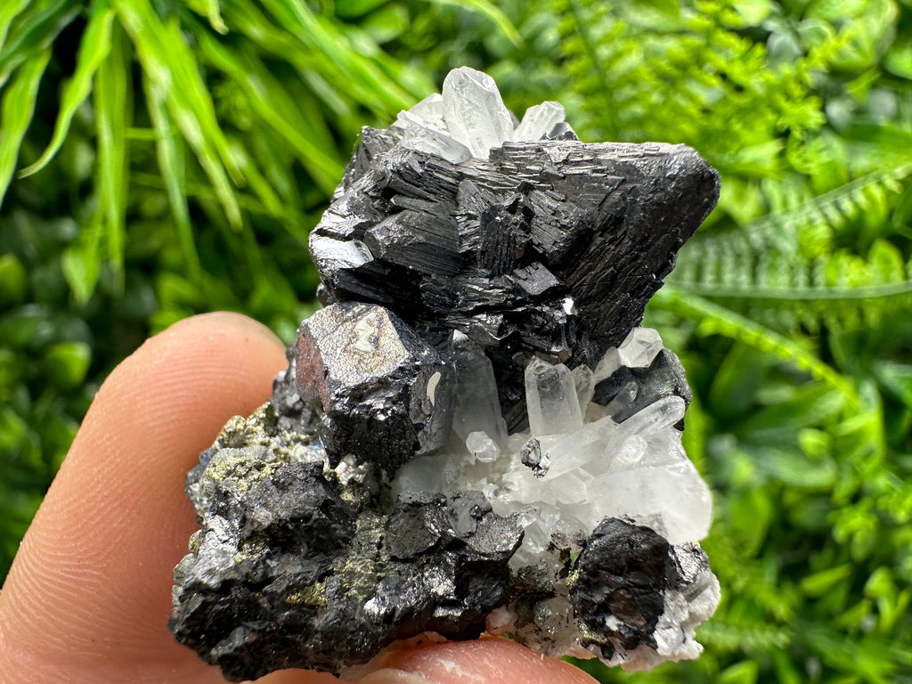 Sphalerite, Galena, Pyrite on Quartz Cluster - Borieva Mine, Bulgaria