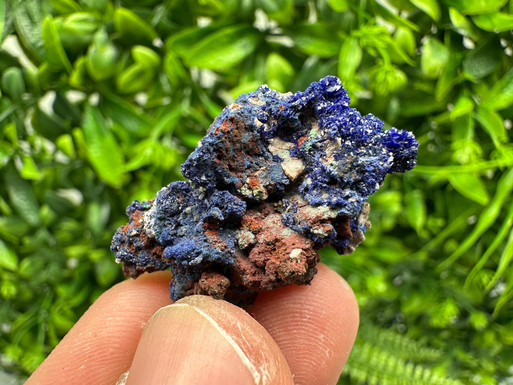 Crystallized Azurite-Kerrouchen,Morocco-Blue Azurite Specimen-High Quality Blue Azurite-Azurite Mineral Specimen, gemmy,lustrous of Azurite